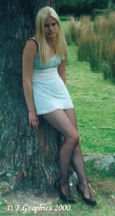 Shannon1.jpg (49327 bytes)